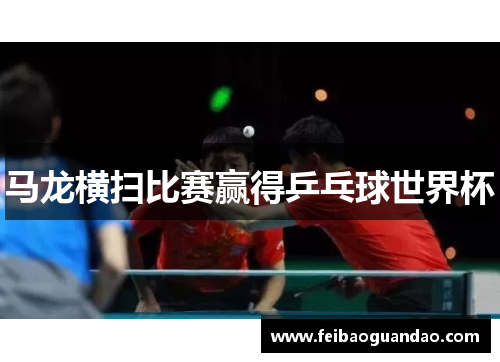 马龙横扫比赛赢得乒乓球世界杯